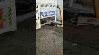 新宿駅のねずみ  #歌舞伎町 #新宿 #東京 #ねずみ #ドブネズミ