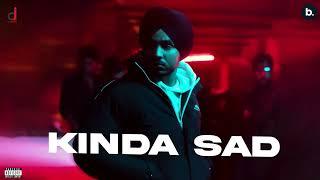 Kinda Sad | Visualizer | Vseer | Punjabi Song 2024 | Vibe Vault Album