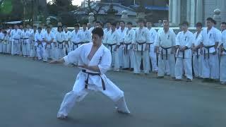 SUSHIHO KATA SHINKYOKUSHIN