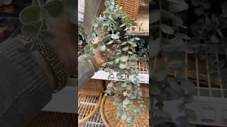 سر اختفائي الفتره ديه 