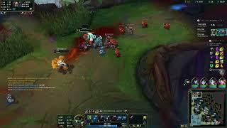 Warwick pro player League of Legends Kill. May 23, 2024