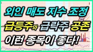 지수는 조정, 개별주 급등주 장세. 주도주 관심종목