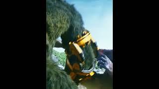 KONG & GODZILLA ‍ #shorts  #fyp #godzilla #monsterverse