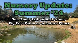 Nursery Update - Summer '24: New Pond, Irrigation System, Fig Tree Failures, & Future Plans