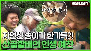 [자연인 하이라이트] 53 냉동실에 자연산 송이가 한가득?! 산골 할아버지의 인생 예찬!