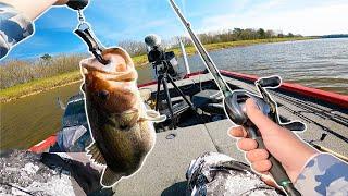 Spring Bass Fishing For GIANTS! (New Personal Best)