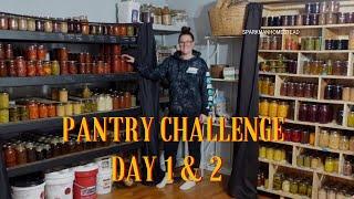 New year, New Pantry Challenge 2025 | #threeriverschallenge   Day 1 & 2