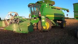 Farm Chores with Danny and 2021 Wheat Harvest central Minnesota