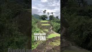 Ciudad Perdida una gran aventura en tierra de nuestros ancestros #natgeo #travel #trekking