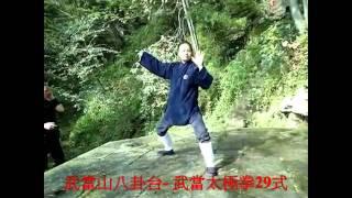 Wudang TaiChi Quan 29  武當山八卦台-武當太極拳29式.