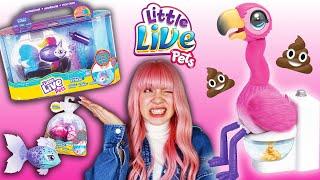 PŁYWAJĄCE RYBKI  FLAMINGO KTÓRY ROBI KUPKĘ  Little Live Pets