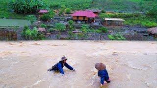 Floods caused by storm YAGI suddenly destroyed SANG VY's beautiful farm, restoring harvest and sales