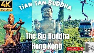 THE BIG BUDDHA HONG KONG , LANTAU ISLAND | Tian Tan Buddha in Cable Car @travelingartasty