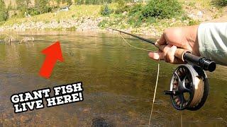 Fly Fishing the TAYLOR RIVER: The MOST DIFFICULT River in Colorado! (1K Subscriber Giveaway!)