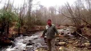 Rocky Creek at RockyCreek Homestead