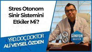 Otonom Sinir Sistemi Vücudu Nasıl Etkiliyor? - YRD. DOÇ. DR. Ali Veysel ÖZDEN