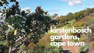 One of the worlds most beautiful gardens - Kirstenbosch Gardens, Cape Town