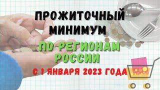 Прожиточный минимум на 2023 год по регионам России