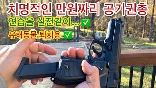 치명적인 만원짜리 공기권총 - Daisy 340 스프링 피스톨 #연습용과 Pest Control용으로 최적의 Air Pistol