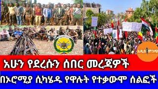 አሁን የደረሱን ሰበር መረጃዎች| በኦሮሚያ ሲካሄዱ የዋሉት የተቃውሞ ሰልፎች !