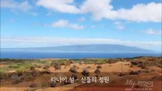 [마이하와이] 하와이 라나이 여행 필수 명소 신들의 정원 Garden of Gods