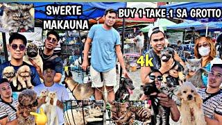 LEGIT MAY  BUY 1TAKE 1 SA GROTTO PET MARKET  PART 1( OCT 20  2024)