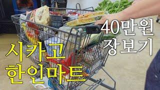 vlog  미국 한인마트 털기 / 미국물가 /40만원으로 장보기 / 시카고 h마트 / 중부시장