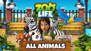 Zoo life - All Animals