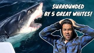 UNBELIEVABLE: Great White Shark Literally Bites my Sailboat!!  (Episode 266)