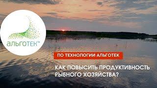 Как повысить продуктивность рыбного хозяйства? Рыбхоз "САДОВСКИЙ"! Технология АЛЬГОТЕК!