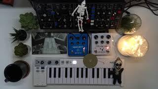 Experience 96 • Behringer • Model D • Meris • Mercury7 • Polymoon • Arturia • Keystep