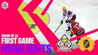 Highlights | Pinguins Bremerhaven vs Skellefteå AIK