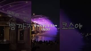 주말에 반포 가서 노는법
