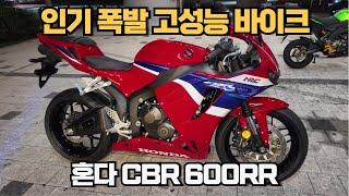 7세대 혼다 CBR 600RR 부산 1호 머신 인기 폭발의 비결은?