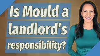 Is Mould a landlord's responsibility?