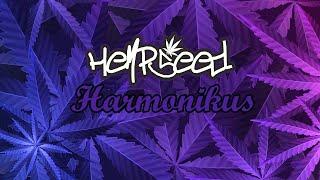 HempSeed - Harmonikus