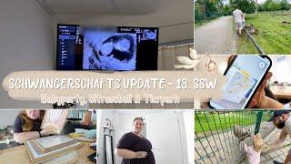 XXXL VLOG| SCHWANGERSCHAFTS UPDATE 13. SSW | BABYPARTY | TAGESMUTTER & MAMA ALLTAG| Vanessa Nicole