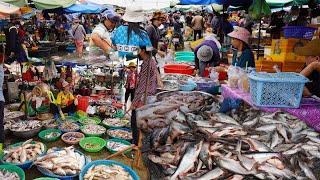 Cambodian Fish Market Tours @Kilo 9 - Amazing Site Distribute Fish, Seafood & More in Fish Market