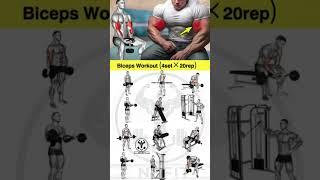 TOP 5 BICEPS Exercises Every Fitness Enthusiast Needs