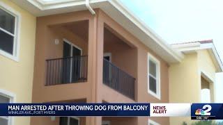 Fort Myers man accused of throwing Chihuahua off third-floor balcony 'like a football'