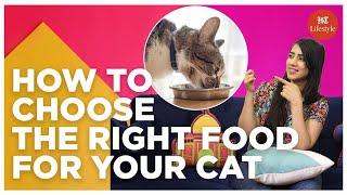 How To Choose The Right Food For Your Cat | Shopping Haul | HT Lifestyle