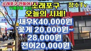 소래포구오늘의 시세!새우K40,000원꽃게 20,000원~28,000원 전어20,000원