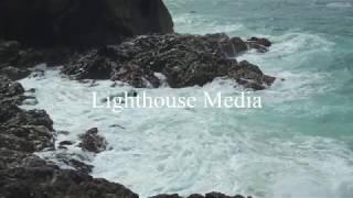 Lighthouse Media