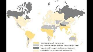 Умеренно-субтропический мегарегион. Читаем заметки по геостратегии А.Ю Школьникова #геостратегия