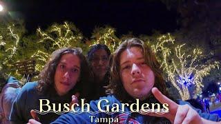 My day at Busch Gardens Tampa / With friends (Allot of Cussing!!)