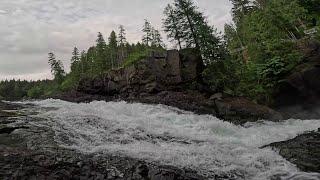 Elk Falls via Millennium Trail - Full Hike