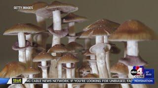 1 dead after mushroom poisoning in Utah, ‘first case ever in the state’