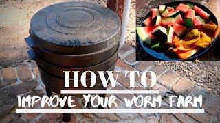 How to increase your worm farm productivity | THE NATURE PATCH