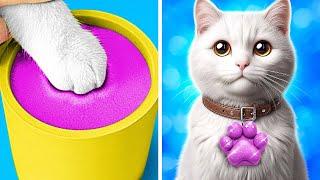 Homeless Cat Makeover  Gadgets and Hacks for Pet Owners