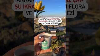 Pursaklar Belediyesi Ankara Endemik Vadi 